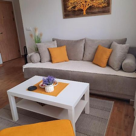 Bankovic Apartman Врнячка-Баня Экстерьер фото